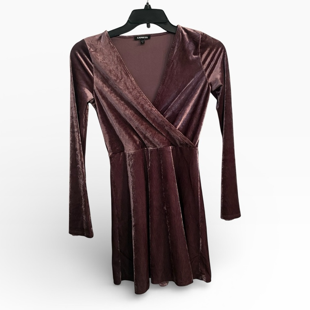 Express Velvet Long Sleeve Dress in Deep Purple